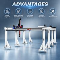Robot manipulateur automatique à grande vitesse sur portique à 3 axes personnalisé pour la manutention et l'empilage de pièces industrielles