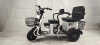 Mini Scooter électrique à trois roues de Style chinois, Tricycle électrique pour la mobilité