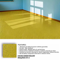 Résine époxy auto-nivelante pour garage et allée, sable coloré époxy haute brillance, 8 couleurs de sable coloré époxy, peinture pour sol