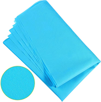 Tissu non tissé d'agriculture biodégradable écologique imperméable personnalisé en gros pour la protection des plantes contre le gel