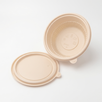 Biologisch afbreekbare PLA-hars, milieuvriendelijk, voedselveilig, industrieel gebruik, broodtrommel, lunchbox, magnetronbestendig, lekvrij, 1000ml
