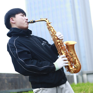 <span class=keywords><strong>SLADE</strong></span> Étudiant Saxophone <span class=keywords><strong>Alto</strong></span> E Flat Saxophone Débutant Ensemble complet avec étui Embouchure Sangle Reed Diverses couleurs disponibles - Product Image 3