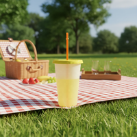 Gobelets jetables écologiques pour boissons froides glacées, 12 pièces de 24 oz, gobelets changeant de couleur avec couvercles et pailles