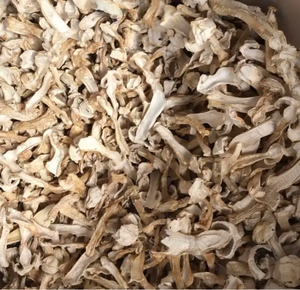 Song Rong Venta caliente Sichuan Setas de pino secas silvestres <span class=keywords><strong>Tricholoma</strong></span> <span class=keywords><strong>Matsutake</strong></span> Precio - Product Image 2