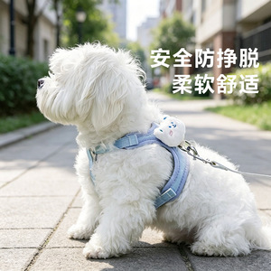 Dog leash, small dog <b>harness</b>, Teddy/Bichon Frise puppy leash, pet vest style dog chain - Product Image 2