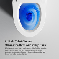 Nouvel arrivage Toilettes intelligentes WC avec bouclier en mousse aromatique Chauffage du siège télécommandé-Nettoyeur de toilettes avancé P-Trap Drainage Pattern