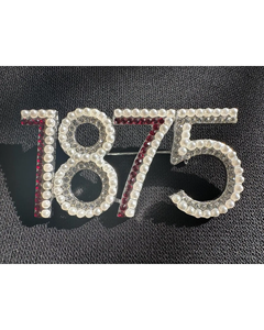 Broche de solapa de cristal personalizado con el logo de los equipos 1867 Alabama State, 1877 Jackson State, 1891 Delaware State, 1881 TU y 1867 <span class=keywords><strong>Morgan</strong></span> - Product Image 3