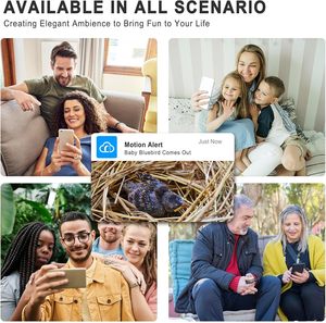 लकड़ी के पक्षी घर कैमरे 1080 पी एचडी लकड़ी के स्मार्ट बर्डनेस्ट सौर ऊर्जा पूर्ण रंग रात दृष्टि पक्षी प्रेमी के लिए देख रहा है - Product Image 6