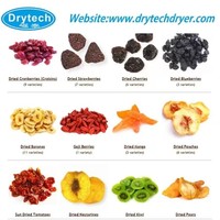 12 Jaar Professionele DRYTECH Hookah Kolen Droger Warmtepomp Droogmachine 19.4KW COC Certificaat