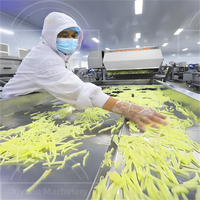 Mini Frietjes Maken Machine Aardappelschiller En Snijder Fruit & Groente Apparaten