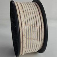 Lampu LED Strip Silikon Tahan Air IP68 Outdoor 30m/20m Tanpa Penurunan Tegangan 24V Perekat Sendiri Fleksibel 3000K-6500K Suhu Warna CRI