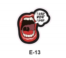 E13