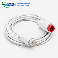 Harness Sensor Medis Perakitan Kabel Kustom OEM ODM Sesuai ISO 13485 dan FDA, Monitor Pasien ECG Langsung dari Pabrik