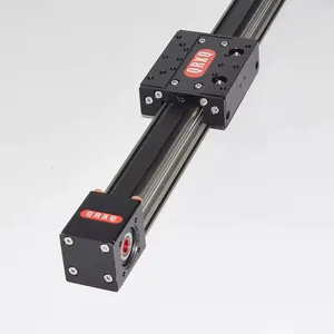 RXP-30 modulo lineare a cinghia sincrona a guida lineare ad alta precisione lunghezza personalizzabile a basso rumore, incluso il motore passo-passo