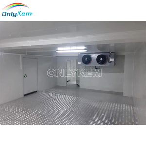 Đi Bộ Trong Tủ Đông Lưu Trữ <span class=keywords><strong>Container</strong></span> Phòng Lạnh Cho Thịt - Product Image 4