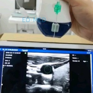 Sonde Doppler linéaire couleur sans fil Wi-Fi haute fréquence 10 MHz 14 MHz 128 éléments pour échographe vétérinaire CU13 - Product Image 6