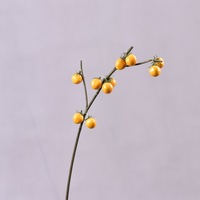 Kunstmatige kersentomaten tak 68cm, nep tomatenstoot met 11 vruchten voor thuis, kantoor, hotel, bruiloft, vaasdecoratie, groothandel