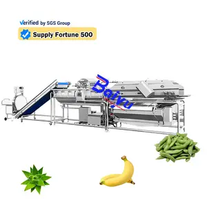 Baiyu Supplier Hot Sale Banana Washing And Grading Small Ozone Vegetable And Fruit Cleaning Machine