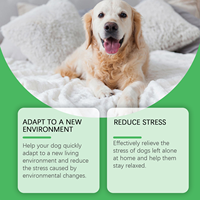 Kit de recharge de diffuseur de phéromones apaisantes pour animaux de compagnie, logo personnalisé OEM, haute qualité, sûr, anti-stress, pour chiens et chats, soulage l'anxiété de séparation