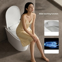 Toilette intelligente en céramique, matériaux écologiques, solution de salle de bain de luxe, service OEM ODM, articles sanitaires en céramique