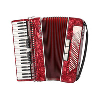 Accordéon piano, instruments de musique, officiel, authentique, Parrot, 41 touches, 120 basses, instrument pour débutants adultes, accordéon à trois rangées de lames