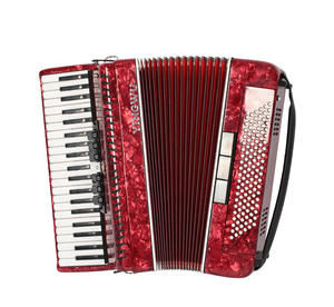 Accordéon piano, instruments de musique, officiel, authentique, <span class=keywords><strong>Parrot</strong></span>, 41 touches, 120 basses, instrument pour débutants adultes, accordéon à trois rangées de lames - Product Image 4