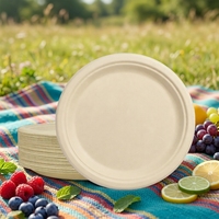 ECO SOUL Assiette jetable moderne en bagasse de 6 pouces (lot de 100, motif uni rond)
