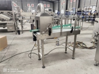 Capacité de lot 50 kg 100 kg 250 kg 500 kg 750 kg 1000 kg Lait Café Mélangeur à poudre horizontal à ruban