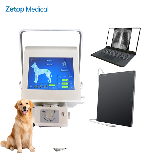 X- Ray Digital Portable X-Ray Machine with DR Panel for Radiography Imaging Diagnosis Digit Xray Detector