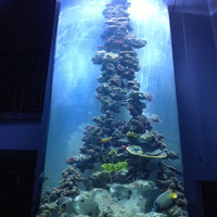 Personnalisé en gros commercial acrylique clair colonne ronde grand aquarium aquarium