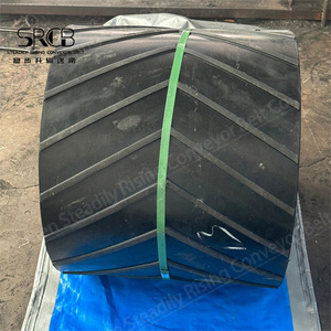 패브릭 강화 컨베이어 벨트 일반 플랫 부드러운 사용자 정의 최고 가격과 빠른 배 높은 품질 최장 서비스 시간 - Product Image 6