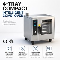 Four combiné professionnel robuste, électrique et à gaz, avec cuisson à la vapeur et à convection, pour cantine, école, hôpital
