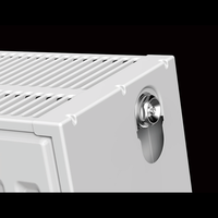 Radiateur mural en acier thermolaqué à eau chaude, solution de chauffage domestique standard européenne – Offre spéciale