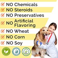 Supplément nutritionnel pour animaux de compagnie à base de poudre de citrouille naturelle riche en fibres, pour la digestion, emballage en bouteille, OEM/ODM