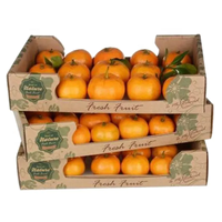 Boîtes en carton kraft végétal imprimées personnalisées Emballage en papier rigide résistant à revêtement UV pour fruits et légumes