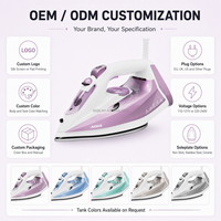 Fer à vapeur vertical portable professionnel sans fil haute puissance avec semelle en céramique, couleur OEM, nouveau modèle moderne pour usage domestique et hôtelier