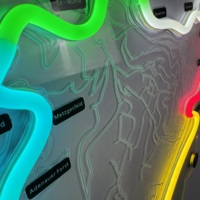 Panneau publicitaire personnalisé Racing Man Cave néon LED en acrylique pour le circuit De Monaco alimenté décoratif