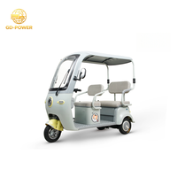 Tricycle électrique à trois roues certifié EEC pour le tourisme et le transport local de passagers 800W à deux moteurs