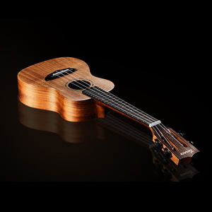Terence, guitarra eléctrica <span class=keywords><strong>de</strong></span> concierto profesional, estilo acústico, <span class=keywords><strong>bajo</strong></span>, ukelele para adultos principiantes, estilo recortado <span class=keywords><strong>de</strong></span> nailon sólido brillante - Product Image 2