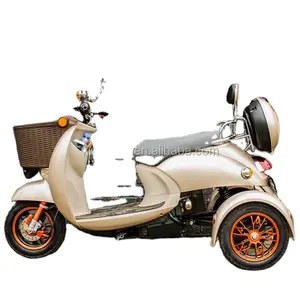 Scooter elettrico a tre ruote triciclo elettrico durevole ed economico del produttore della fabbrica di Wuxi con il sedile