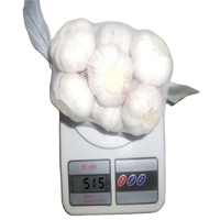 Conteneur de 40 pieds de ail blanc frais biologique cultivé selon des méthodes traditionnelles
