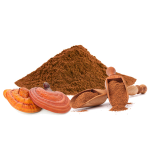 99% tường phá vỡ tỷ lệ 99% Ganoderma lucidum bào tử bột hạt giống thực phẩm lớp Nấm Linh Chi chiết xuất trống thực phẩm sức khỏe 2 năm - Product Image 3