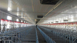 Ventes directes d'usine Caisses de gestation Vente de liquidation Cages de gestation en acier de type H Élevage de porcs Service à guichet unique Hot-Dip - Product Image 5