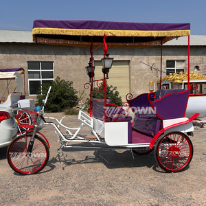 Venta de Fábrica: Carroza Rickshaw para Bodas y Paseos Turísticos Estilo Cenicienta con 1-2 Asientos - Product Image 4