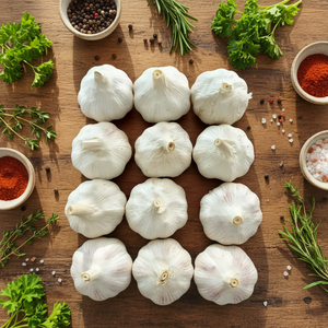 Aglio Fresco Bianco Normale/Puro di Shandong Jin Xiang Raccolto 2024 Grado Premium per il Mercato Globale - Product Image 1
