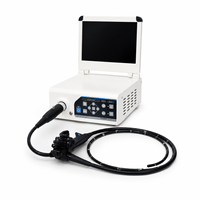 Équipement d'endoscopie vétérinaire portable HD 1080P pour le diagnostic des animaux de compagnie et l'intubation