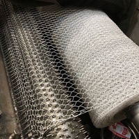 Grillage hexagonal galvanisé à chaud pour cages à poulets, clôture pour volailles, personnalisable, vente chaude