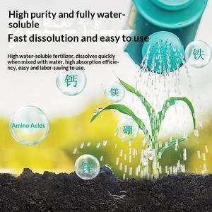<span class=keywords><strong>Engrais</strong></span> liquide foliaire spécial pour l'ail, favorise la germination verte, augmente la taille des bulbes et améliore le rendement grâce aux acides aminés - Product Image 5