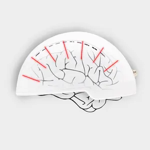 สมองโมดูล Suppliers-PBM สมอง EEG การปรับ Neuro Qeeg การปรับ Photobiomodulation อินฟราเรดอุปกรณ์
