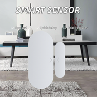 Détecteur de fenêtre/porte intelligent ZigBee, installation facile, alarme sans fil, fonctionne sur batterie, durée de vie de la batterie de 1 an, compatible avec Android
